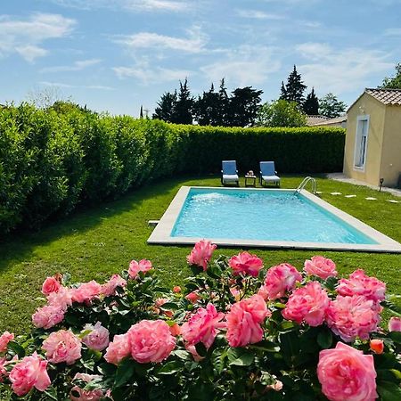 Un Coin Tropical En Provence ! Hotell LʼIsle-sur-la-Sorgue Exteriör bild