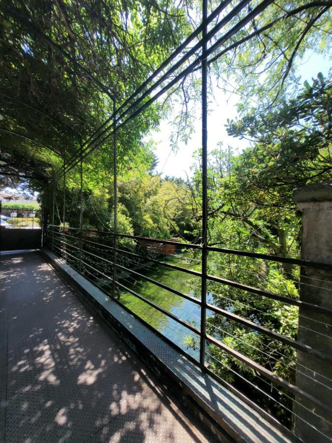 Un Coin Tropical En Provence ! Hotell LʼIsle-sur-la-Sorgue Exteriör bild